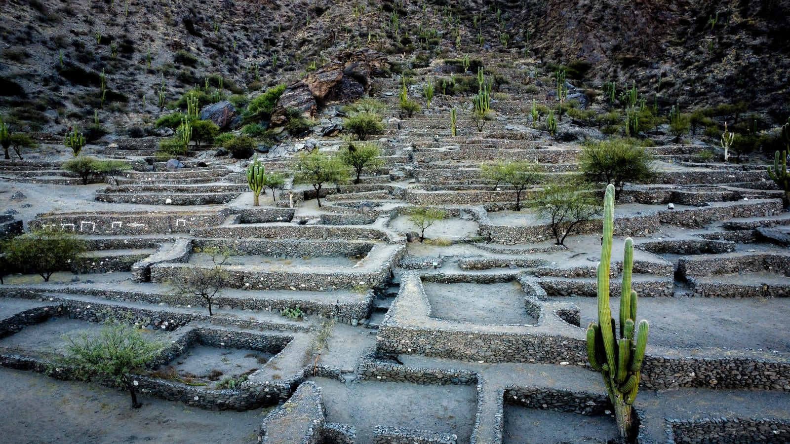 Los Diaguitas: pueblos que dieron forma al NOA