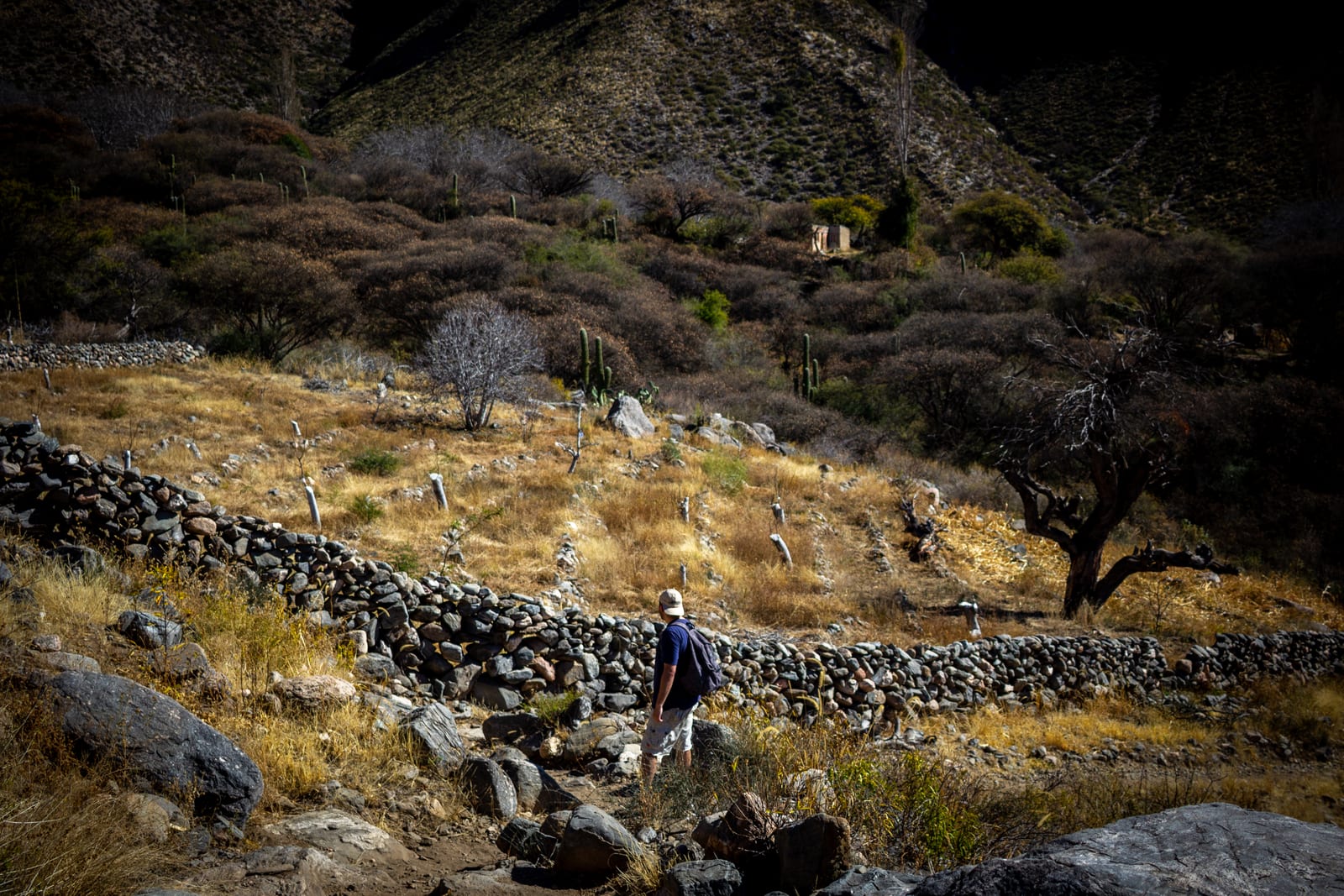 Guía para preparar tu excursión arqueológica