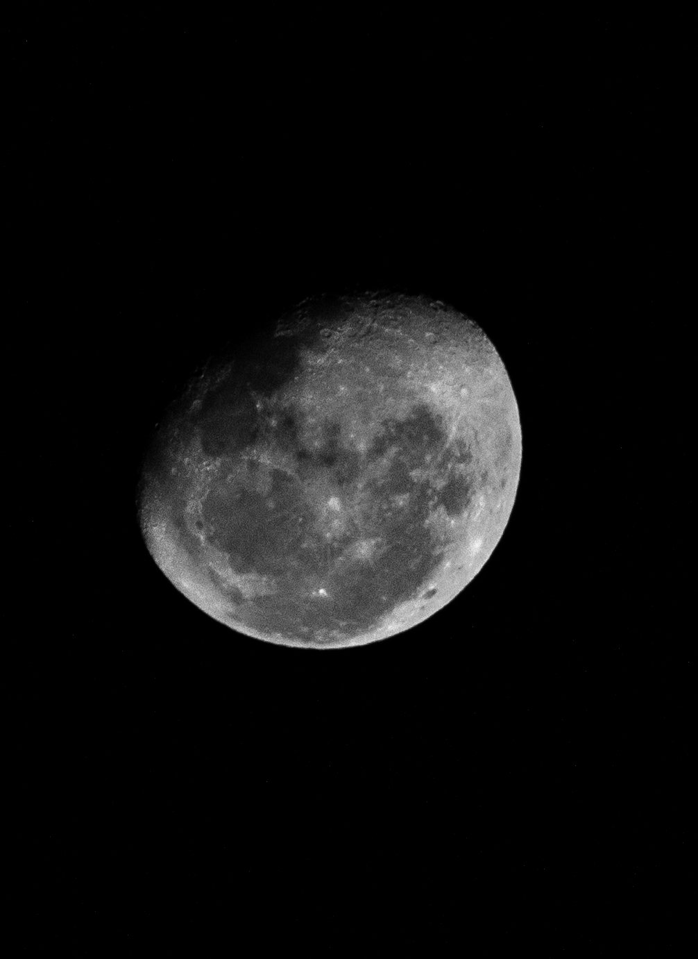 Luna tucumana