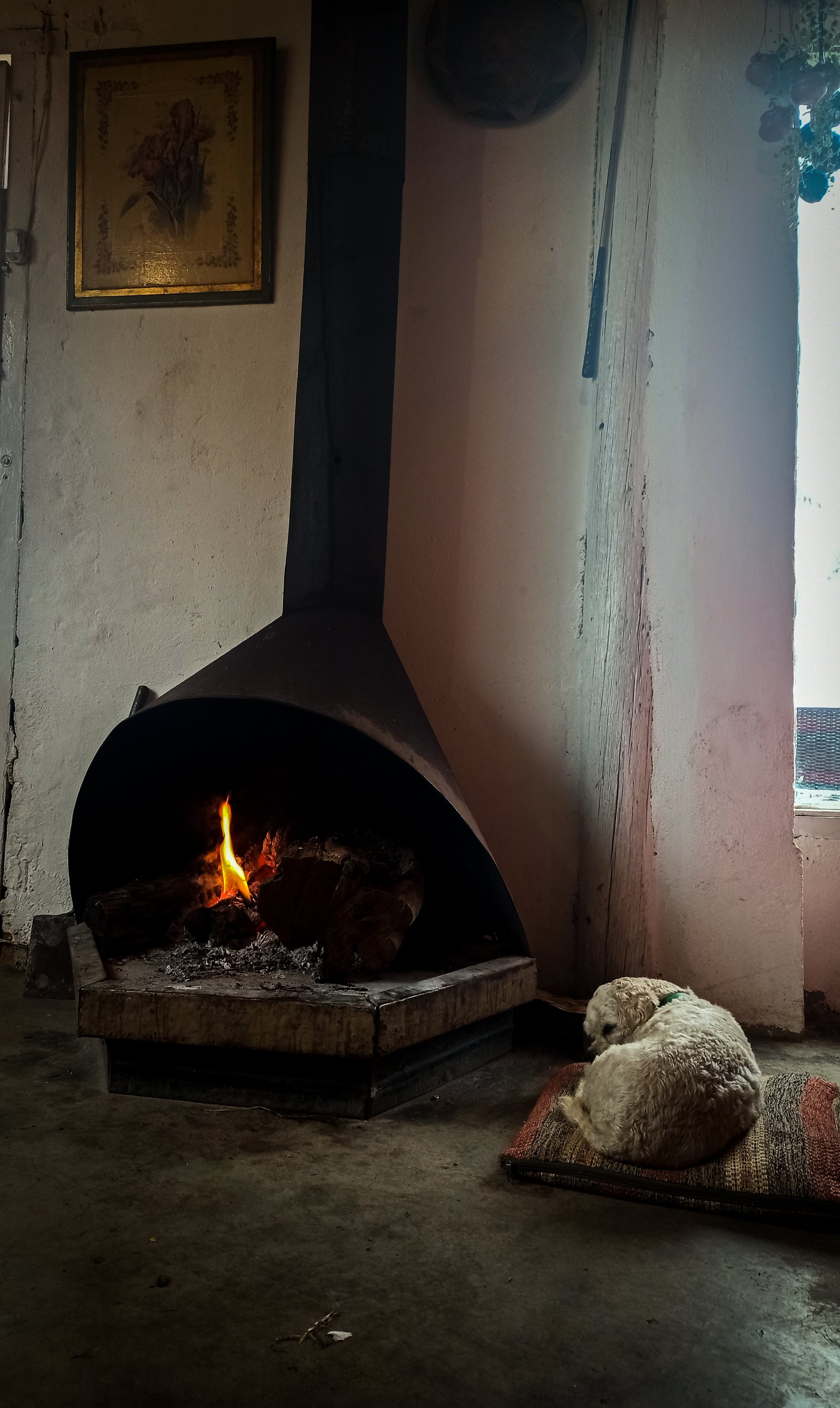 El Tuichy Tucuman